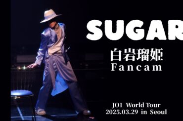 250329 JO1白岩瑠姫Ruki  『Sugar』  Fancam