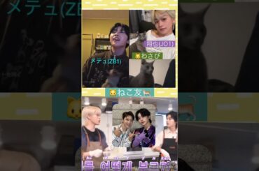 【JO1とZB1】🐱ねこ友🐈#メテュ#木全翔也