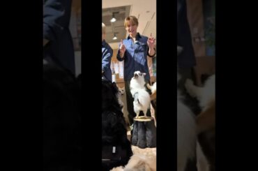 #與那城奨 #yonashirosho #jo1 Tiktok