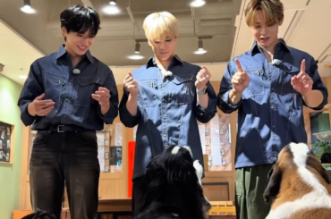 JO1 TikTok Update with Sho, Shosei & Mame (250916) - #ootd with 🐕