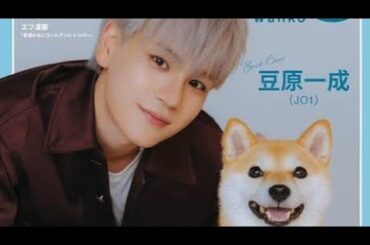 🐾🐶豆原一成＆人気アイドルが魅せる究極の癒し！愛犬との愛らしいツーショット大公開✨📸