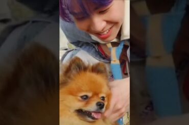 [蓮くんと動物の優しい世界] #JO1 #川尻蓮 ##KAWASHIRIREN #JAM