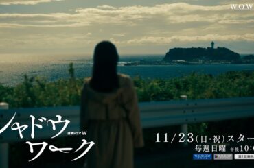 「連続ドラマＷ　シャドウワーク」新・特報解禁！【WOWOW】