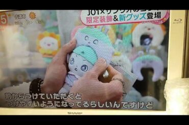 めざましテレビ JO1 白岩瑠姫さん 木全翔也さん サンリオコラボシーズン2放送 #jo1 #木全翔也 #白岩瑠姫 #jo1 #めざましテレビ