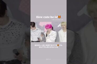 【#川尻蓮 】自分のしっぽと会話するキツネさん🦊なんでそんなにかわいいの？【 #JO1 #JO1_5thAnniversary_祭り】