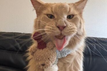 Sukai Weibo Update (251231) - Thank you for loving JO1 this year. JO1 will continue to love you all, too! (feat. Uru)