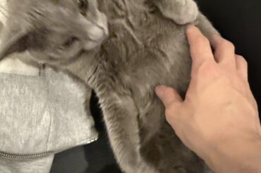 Syoya Twitter Update (251220) - Happy birthday Wasabi!