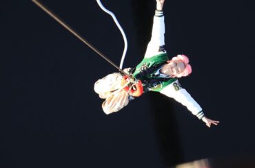 Ren Weibo Update (251230) - I am Earth 🌏