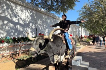 Keigo Weibo Update (251231) - Let's work hard next year, too! 🐎🐎! I love you