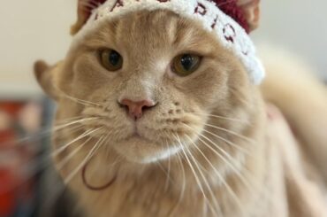 Sukai Instagram Update (251228) - Uru, don't make a face like you're saying "Huh? But Christmas is already over?" 🥸