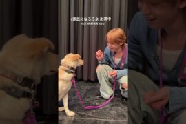 #與那城奨 #yonashirosho #jo1