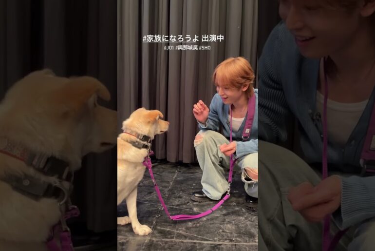 #與那城奨 #yonashirosho #jo1