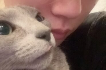 Amazon Music JP Twitter Update with Syoya & Sukai (260222) - Happy Cat Day! (feat. Wasabi & Uru)