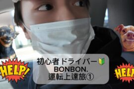 初心者ドライバー🔰BONBON.運転上達旅①車/免許/