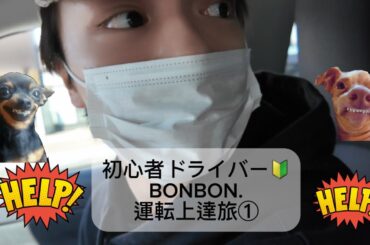 初心者ドライバー🔰BONBON.運転上達旅①車/免許/