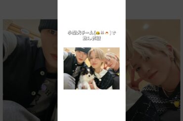 ［#JO1］小型犬チームのドライブデートが激アツ❤️‍🔥 #JO1ANNX #白岩瑠姫 #木全翔也 #大平祥生 #文字起こし #제이오원 #おすすめ #fyp