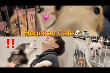 保護犬カフェという幸せに行きました🐶