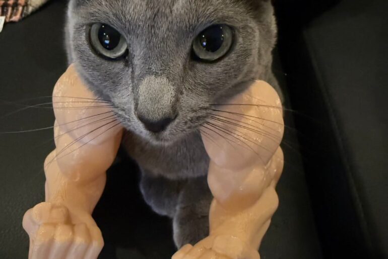 Syoya Twitter Update (260310) - Wasabi: "My power is rising!"