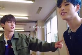 Hey! does anyone know where these two clips of Junki and Sky come from?