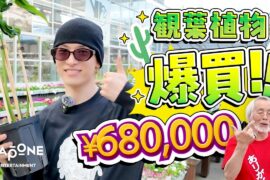 [V-LOG] JO1'S VLOG 金城碧海｜SKYと巡る植物の世界🪴