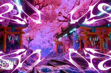 JO1 | 'SAKURA' Lyric Video Teaser