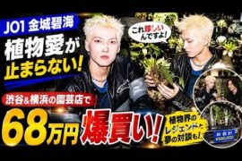 【衝撃】JO1金城碧海が植物に68万円を爆買い！？渋谷＆横浜で見せた“本気の植物愛”にファンも専門家も驚愕！