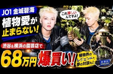 【衝撃】JO1金城碧海が植物に68万円を爆買い！？渋谷＆横浜で見せた“本気の植物愛”にファンも専門家も驚愕！