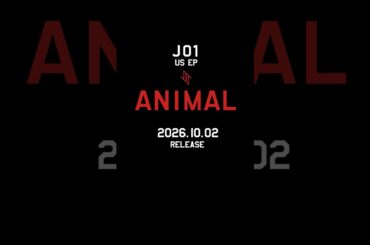 JO1 US EP ANIMAL CONCEPT  VIDEO 2026.10.02 RELEASE #JO1 #JO1_ANIMAL #河野純喜 #木全翔也 #金城碧海 #shorts