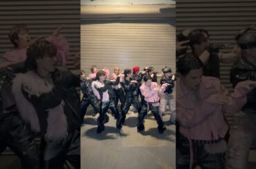 #JO1 | 'SAKURA' Feeling SAKURA? Say Ayo Ayo Ayah ! #KCONLA2026 #JO1_SAKURA #JO1_ANIMAL #shorts