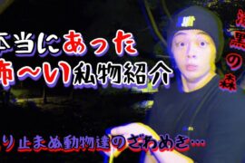 漆黒の森で私物紹介してくるやばい奴。